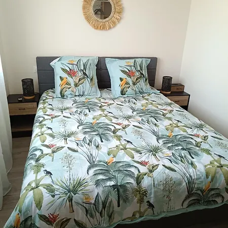 Apartment Dume Et Coco F2 55 M2 Vue Taglio-Isolaccio