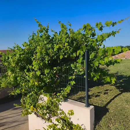 شقة Dume Et Coco F2 55 M2 Vue