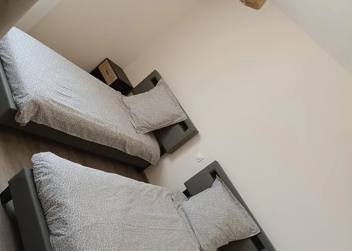 Dume Et Coco F2 55 M2 Vue