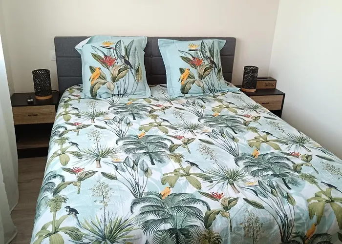 公寓 Dume Et Coco F2 55 M2 Vue Taglio-Isolaccio